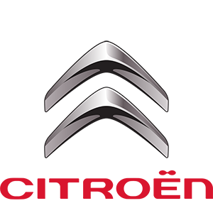 Vendita automobili usate Citroen